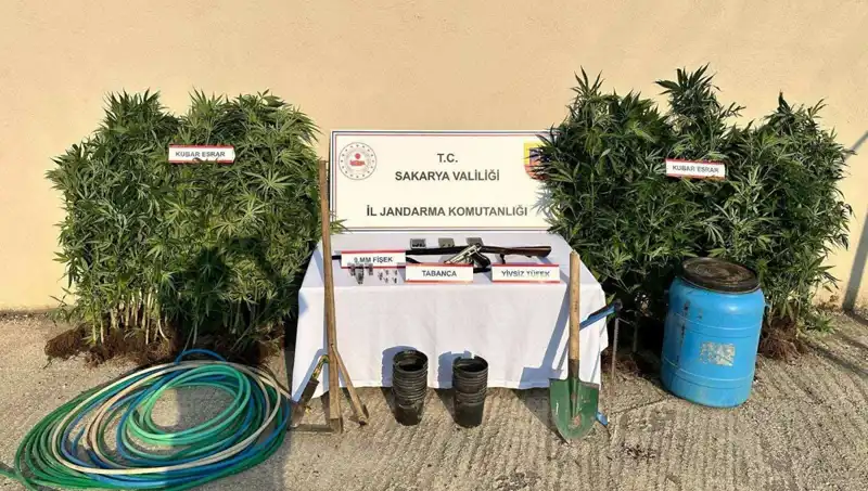 Sakarya’da Uyuşturucu Operasyonu: Narkotik Ekipleri 1 Kişiyi Tutukladı