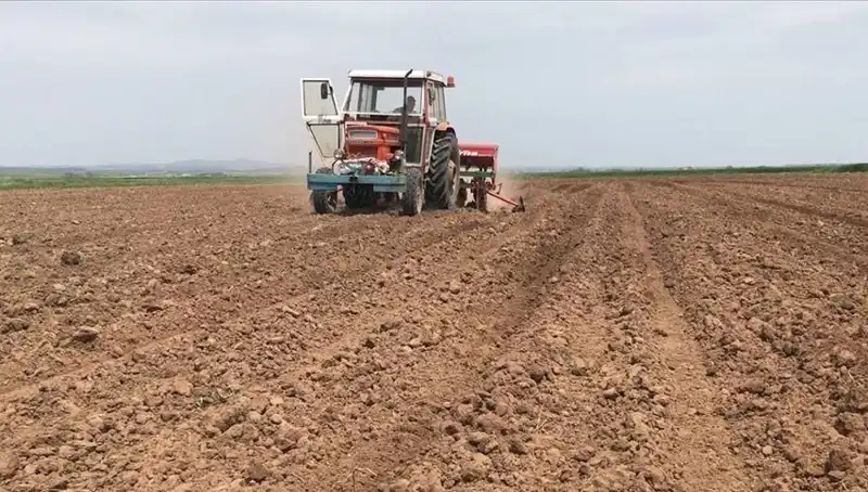Son 35 Yılın En Kurak Mart Ayı: Yağışlar Tarih Yazdı