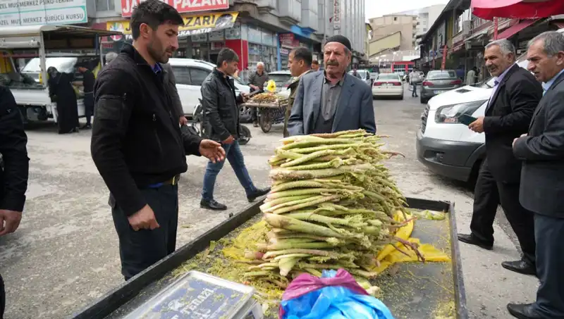 Dağlık Bölgelerden Gelen Şeker: Kanser ve Mide Hastalıklarına Şifa Oluyor