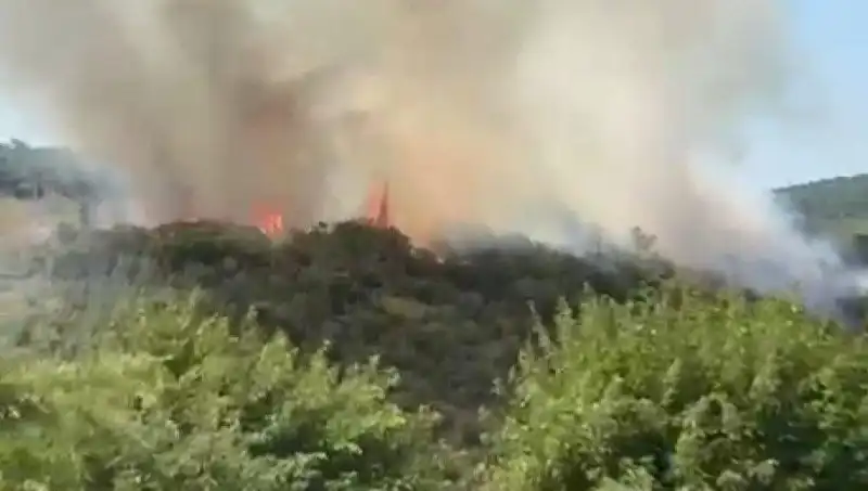 İstanbul'da Orman Yangını: Vatandaşlar Acil Olarak Tahliye Ediliyor