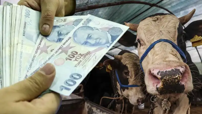 Kurban Bayramı Öncesi Maaşlar Ne Zaman Yatacak? Emeklilere Müjdeli Haber!