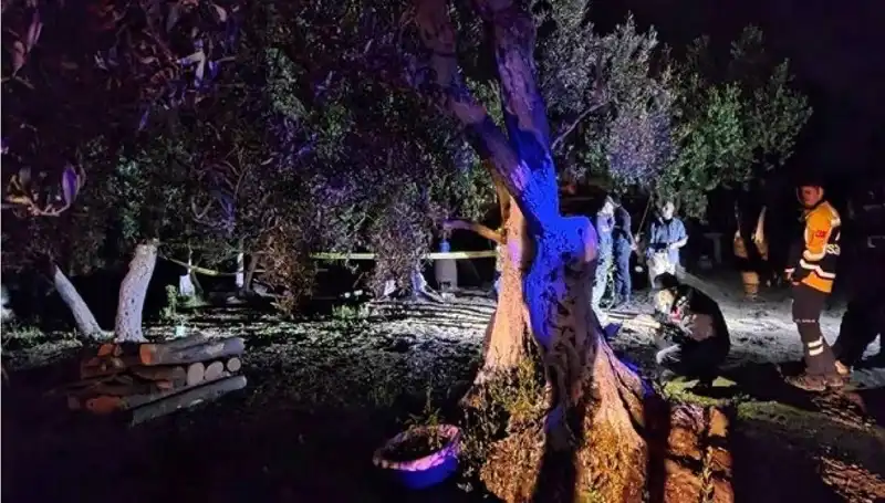 Çiftlikte Korkunç Baltalı Vahşet: Gözaltına Alınan Şahıs Kim?