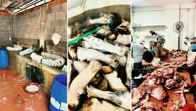 Adana'da Sağlıksız Yiyecek Skandalı: Yüzlerce Kilo Paça Ele Geçirildi!