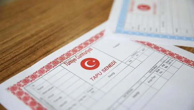 100 Milyonluk Dolandırıcılık Ağı: Hisseli Tapu Yalanı Deşifre Edildi!