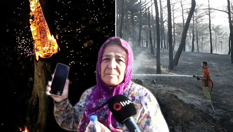 Çanakkale Orman Yangınları Kontrol Altına Alındı: İnadına Hayat Kurtarma Çabaları