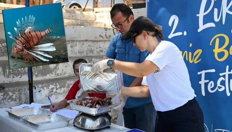 Antalya'da Heyecan Verici Aslan Balığı Avlama Yarışması Başlıyor