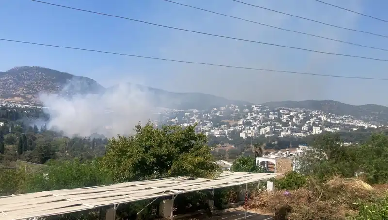 Muğla’daki Orman Yangınları Kontrol Altına Alındı: Son Durum ve Etkileri