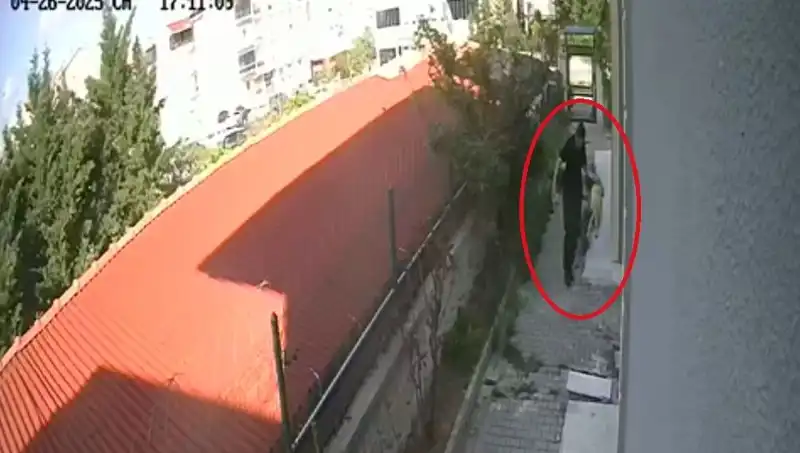 Veteriner Doktorun Şoke Eden Suçlaması: Sahiplendiği Köpekleri Parçaladı!