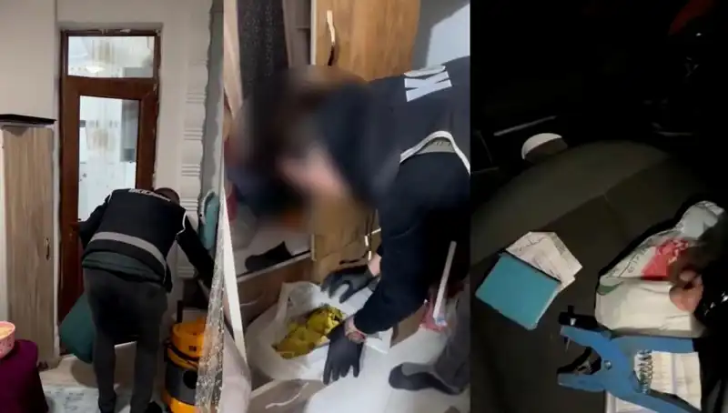 Hayvan Sevk Belgelerindeki Usulsüzlük: 9 Gözaltı ile Büyük Operasyon