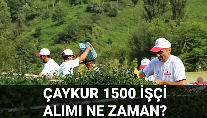 Çaykur İşçi Alımında Beklenen Tarih Nihayet Açıklandı!